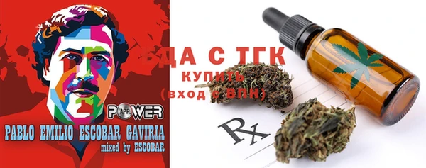 тгк Алзамай