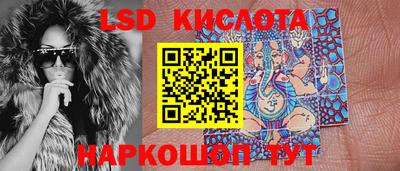 spice Кингисепп