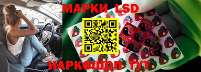сатива Кинель