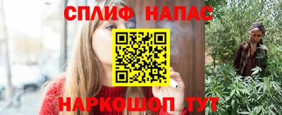 spice Кингисепп
