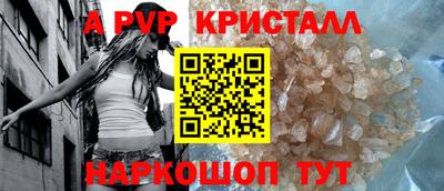 spice Кингисепп