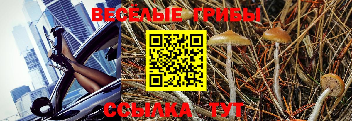Галлюциногенные грибы мухоморы Заинск