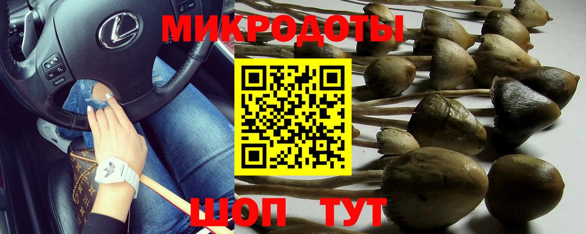Заинск  Псилоцибиновые грибы MAGIC MUSHROOMS  Вход с VPN  Псилоцибиновые грибы GOLDEN TEACHER 